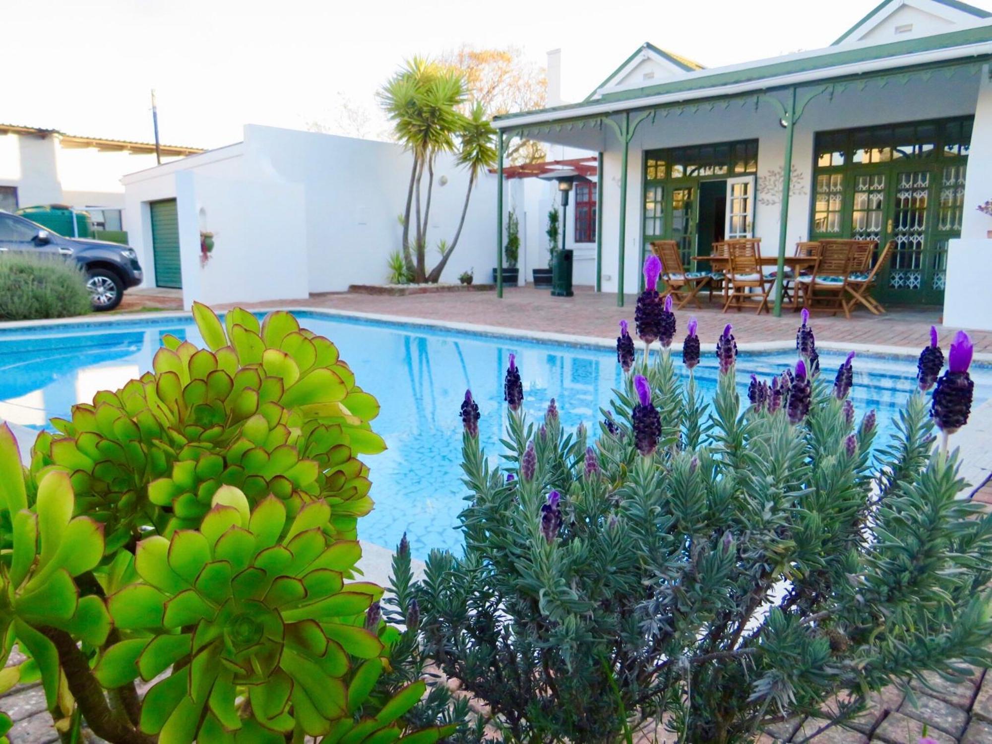 Whistlewood Guesthouse Walmer, Port Eizabeth Port Elizabeth Exterior photo