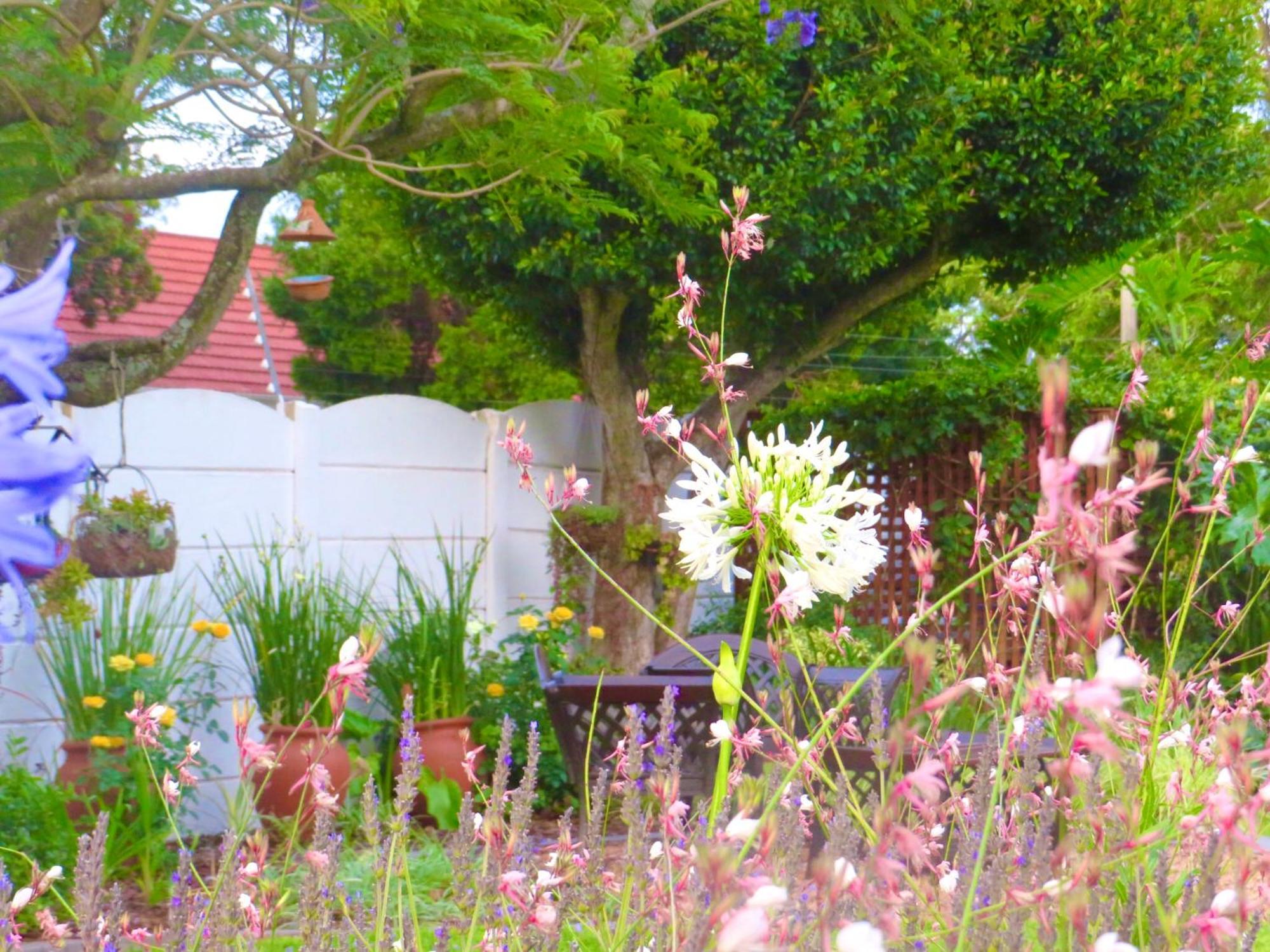 Whistlewood Guesthouse Walmer, Port Eizabeth Port Elizabeth Exterior photo