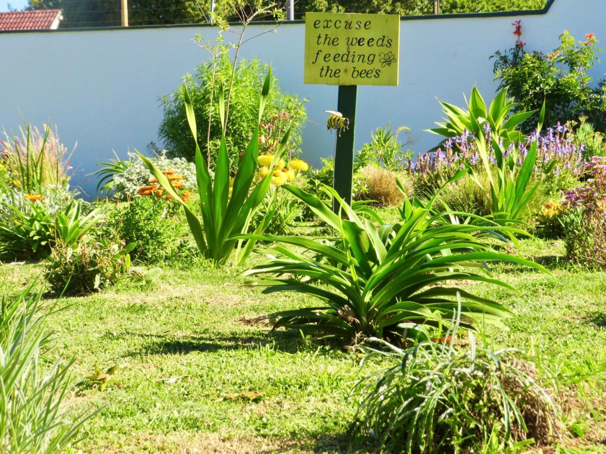 Whistlewood Guesthouse Walmer, Port Eizabeth Port Elizabeth Exterior photo